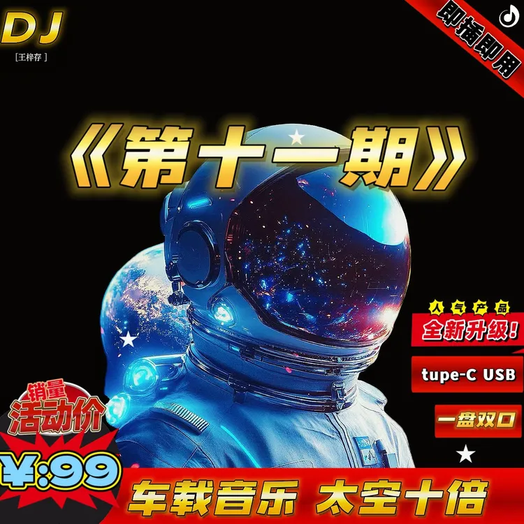 全新升级 《王梓存同款》第十一期车载DJ优盘 1100 首歌曲 礼盒装