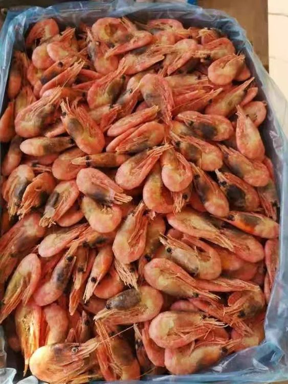 北极甜虾海藻头，散称发货介意者慎拍，海鲜不能来回折腾看好下单
