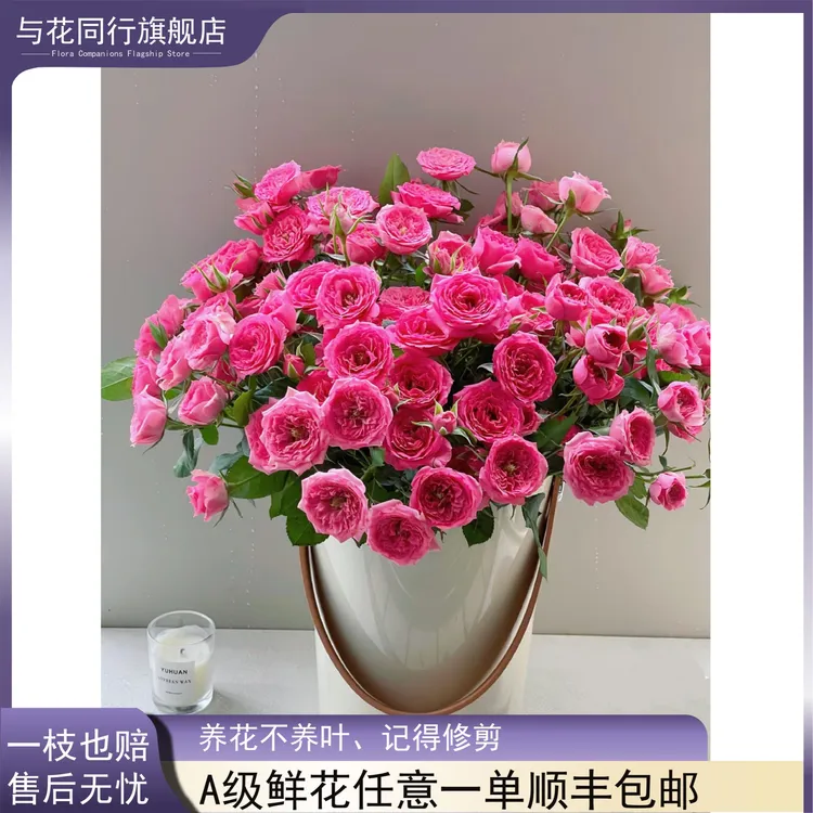 【与花同行】A级苏菲宝贝多头玫瑰花期长花束装饰客厅水养鲜切七夕