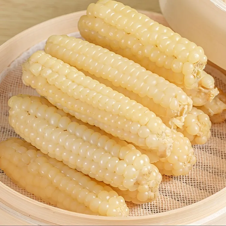 云南版纳手指小玉米真空锁鲜香甜软糯营养早餐代餐拇指玉米软甜糯