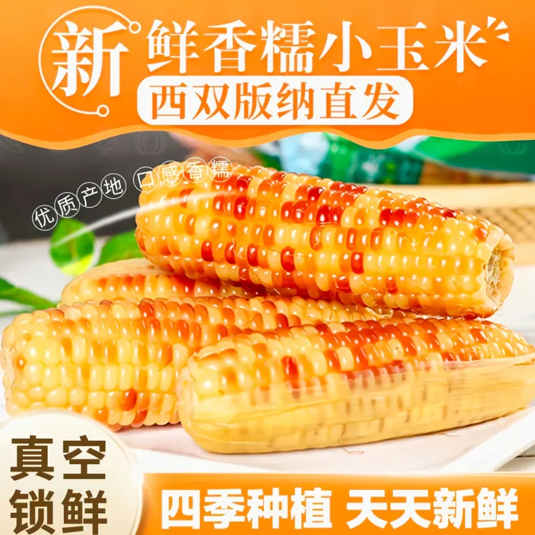 【加热即食】云南西双版纳香糯小玉米甜糯新鲜真空装包香甜花糯玉米