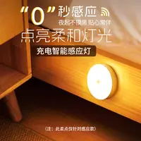 雷士照明人体智能感应小夜灯小圆起夜家用过道走廊床头充电灯DB