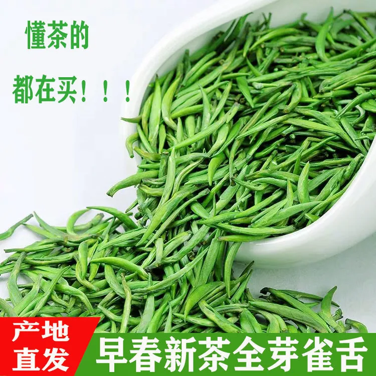 2025明前头采雀舌贵州高山云雾好茶