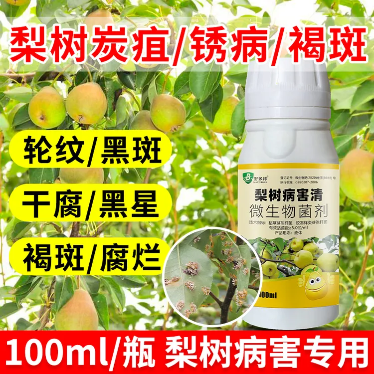 梨树病害专用日灼病干枯病青霉病红粉病肿叶病裂果病黑星病锈病