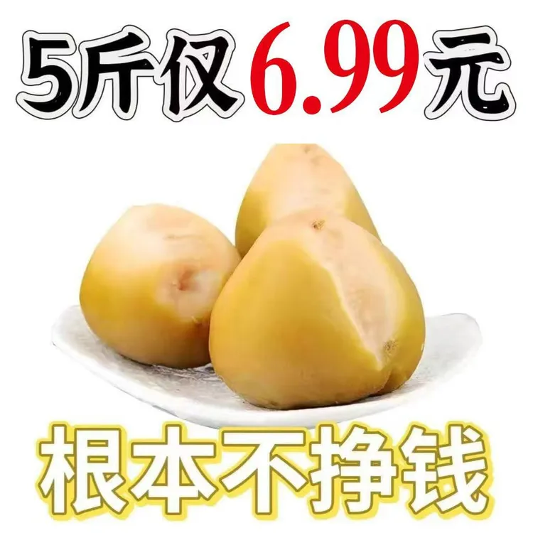 【到手五斤】东北特产芥菜疙瘩头芥菜丝新鲜腌制开胃小咸菜下饭菜商品图