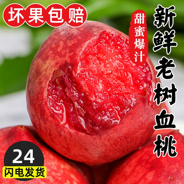 现摘正宗胭脂红桃子血桃新鲜水果露天五月产地直销水蜜桃当季热卖
