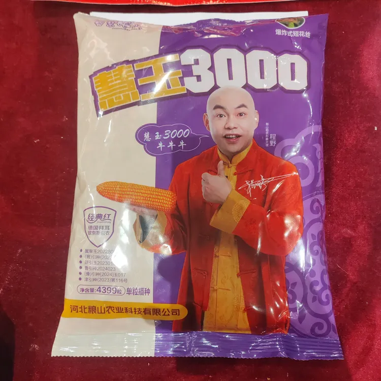 红轴大穗抗倒抗病高产玉米种慧玉3000玉米种