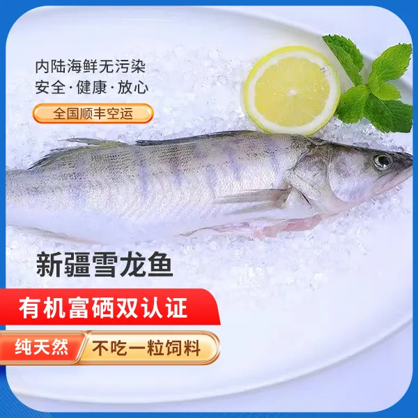 新疆额尔齐斯河富硒有机雪龙鱼3条（单条500g左右）纯净无污染