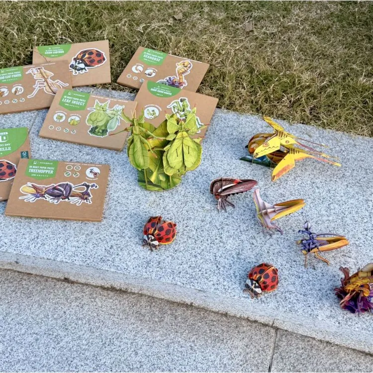 我能玩一下午！出老美！3D昆虫拼图亲子益智玩具趣味立体动物模型