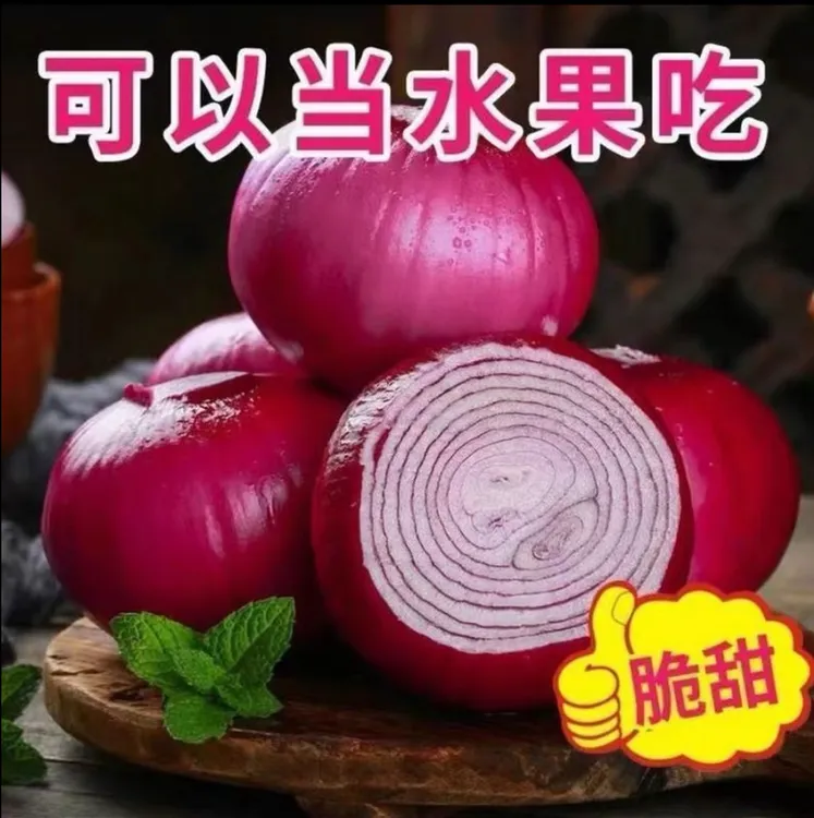 红皮水果洋葱种子红皮圆型洋葱头阳台庭院耐寒耐热四季播种蔬菜籽