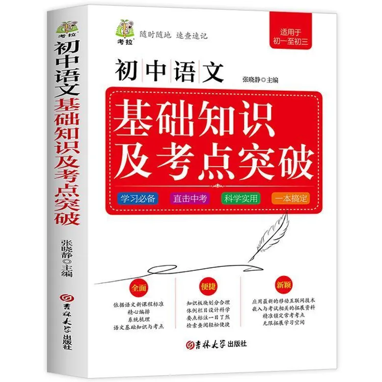 初中语文基础知识及考点突破中学生语文工具书初中语文七八九年级