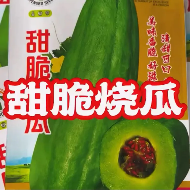 【甜脆烧瓜种子】四季种植盆栽地栽阳台小院种植