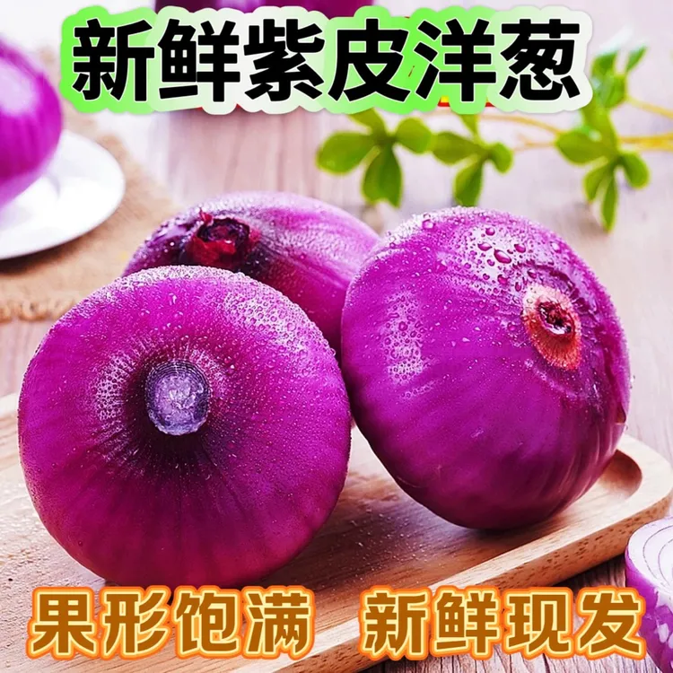 河南新鲜紫皮洋葱现挖现发可生吃圆葱头5斤/9斤