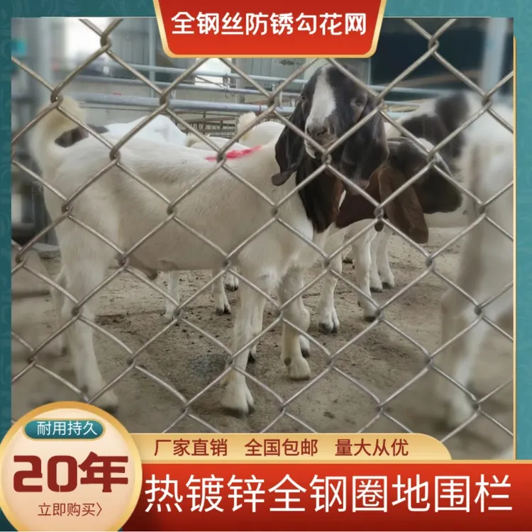 加粗热镀锌钢丝围栏网勾花网护栏隔离栅栏养殖牛羊狗猪动物圈地网