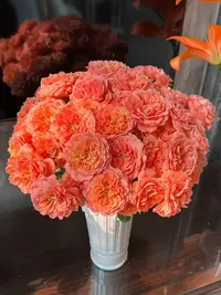 【陌上花开】杏色果汁-稀有多头玫瑰（注意：带包装醒花哦~）