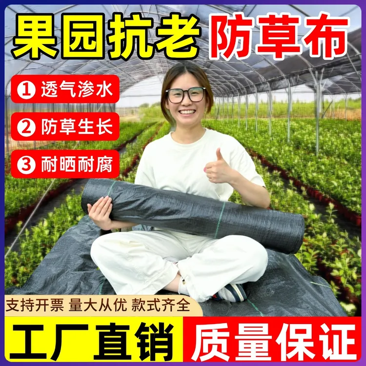 农用优质盖草遮草布除草布园艺果树防草布批发透水寸草不生