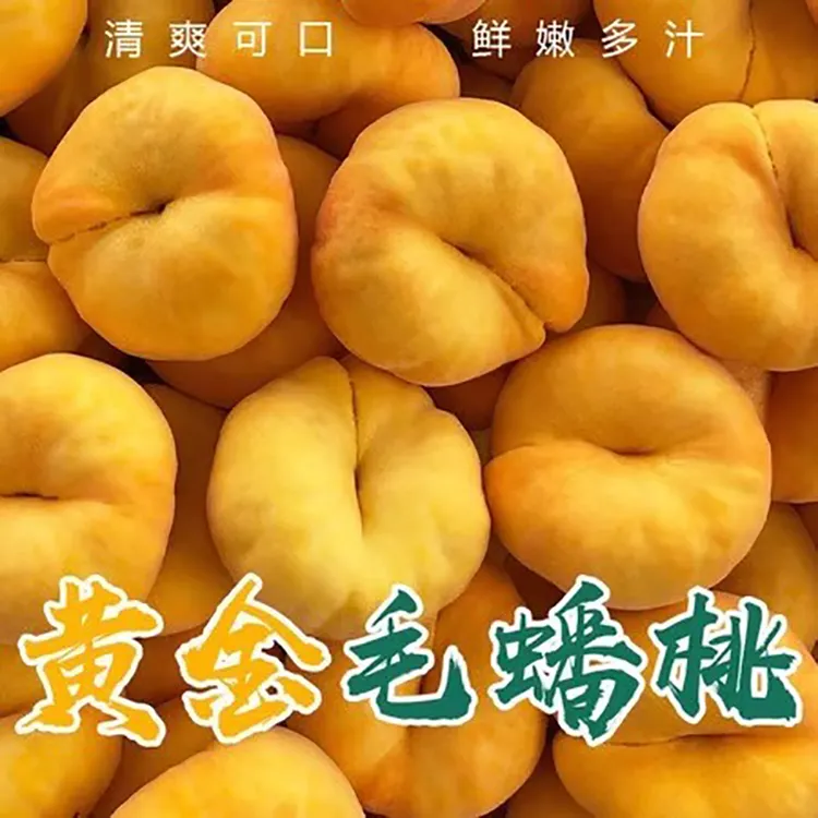 黄金蟠桃黄毛蟠桃蒙阴新鲜水果当季时令水果桃子