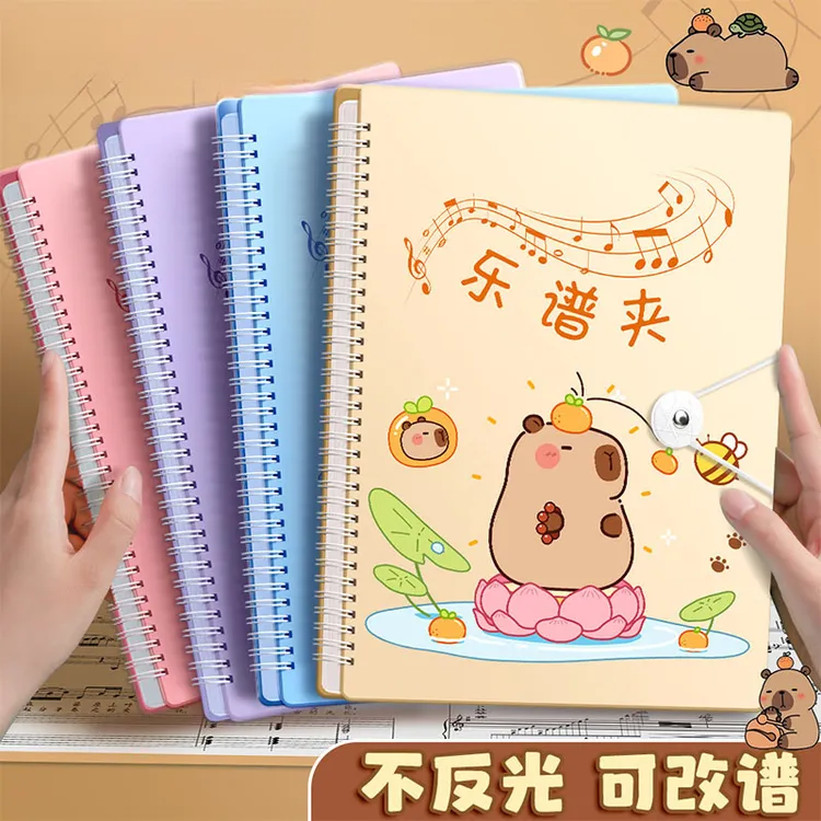 乐谱夹可修改a4歌谱琴谱文件夹展开式不反光曲谱透明