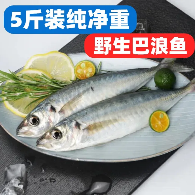 【顺丰发货】净重5斤野生巴浪鱼新鲜冷冻非青花鱼海鲜水产一整箱