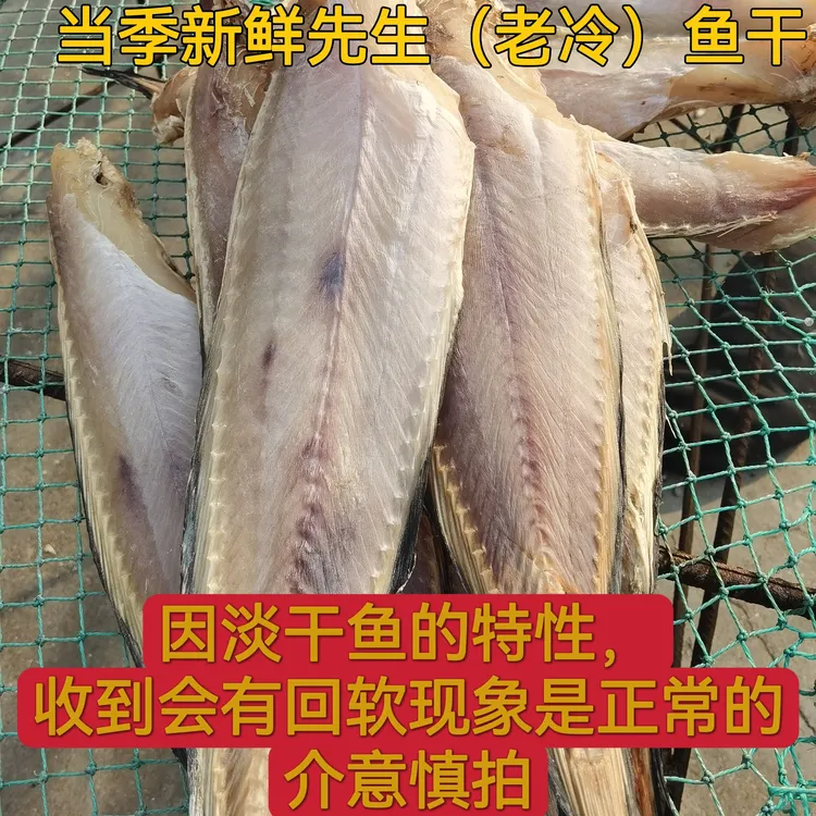 山东威海先生鱼干海兔子鱼干一卤鲜淡干6成干顺丰京东包邮