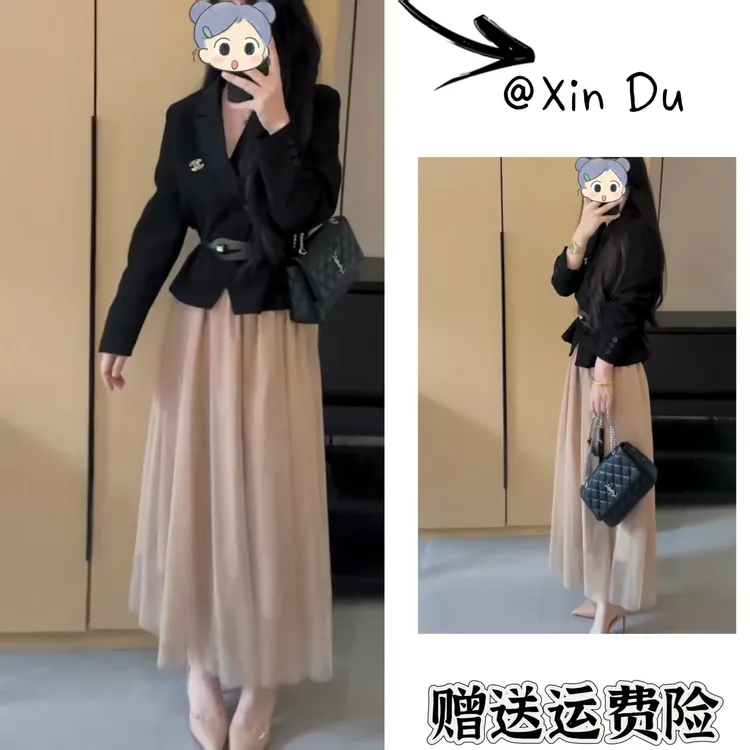 2025秋季新款时尚显瘦气质女士网红洋气两件套百搭款D23009