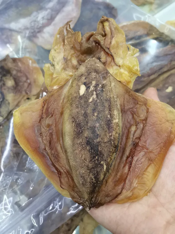 舟山特产淡干墨鲞（初级渔农产品）