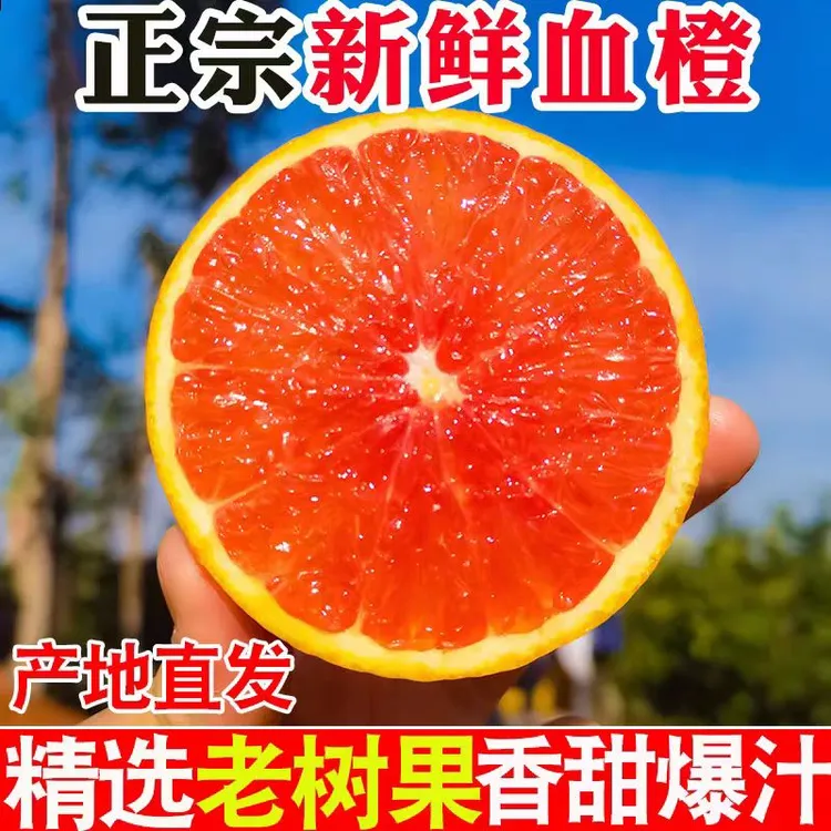 江西赣南血橙卡拉红橙橙子新鲜水果现摘现发新鲜好吃5斤10斤装