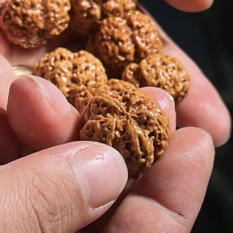 金刚菩提珠串老尼四号 龙爪梅花飞碟大金刚