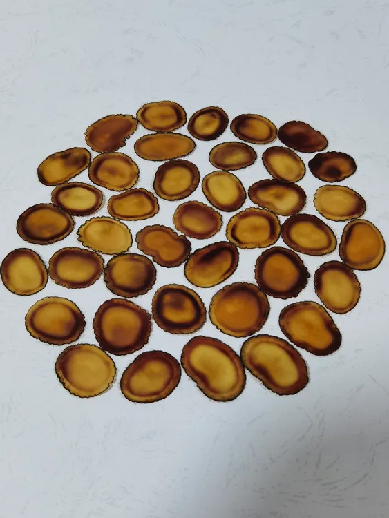 特等鹿茸全腊片 前三刀切片 片片含腊十足 口感软糯咸香