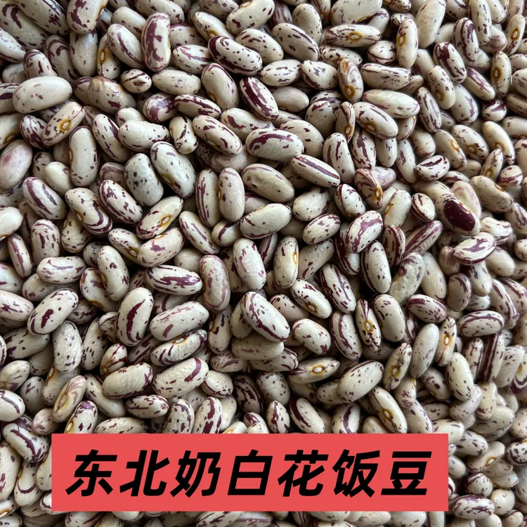 东北奶白花饭豆，易熟起沙味道浓2025新豆