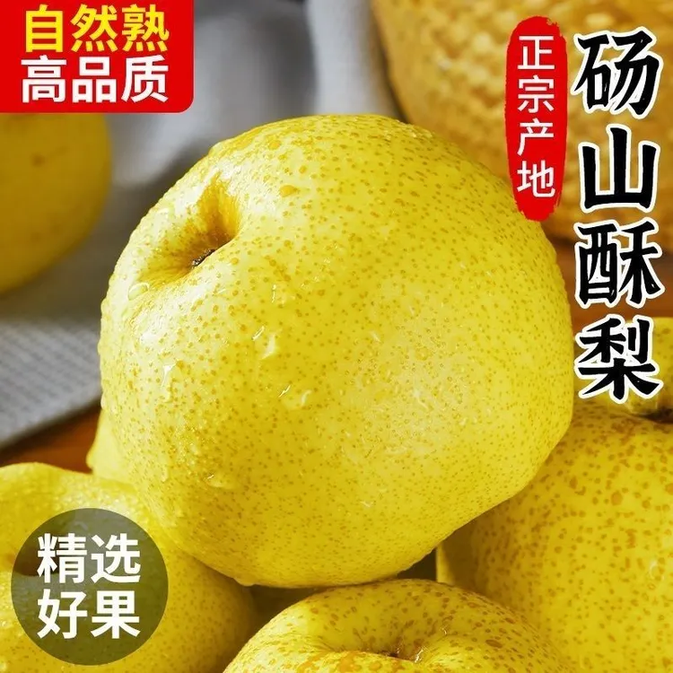 【顺丰包邮】正宗安徽砀山酥梨新鲜现摘皮薄多汁爆甜脆爽5斤装