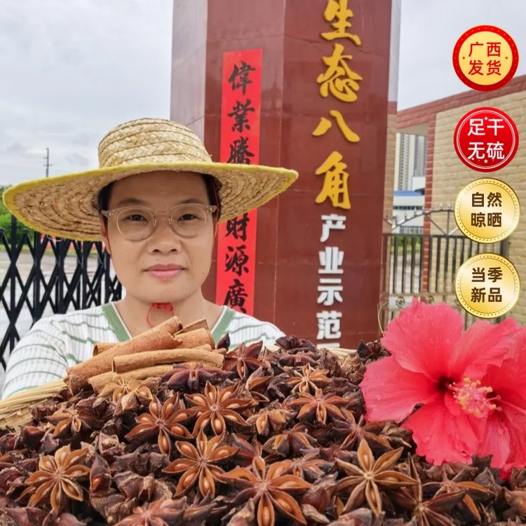 广西正宗深山足干无硫大红老树提香去腥调味料广西大红八角