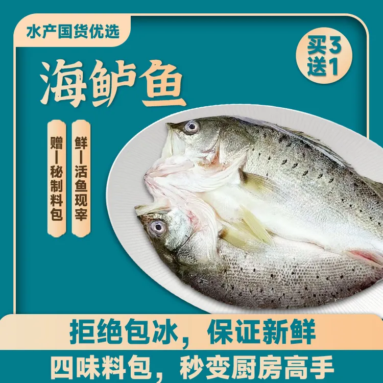 【开背海鲈鱼】海鲈鱼活鱼现杀速冻锁鲜去鳞鲜嫩肉质鲜美 口感新鲜