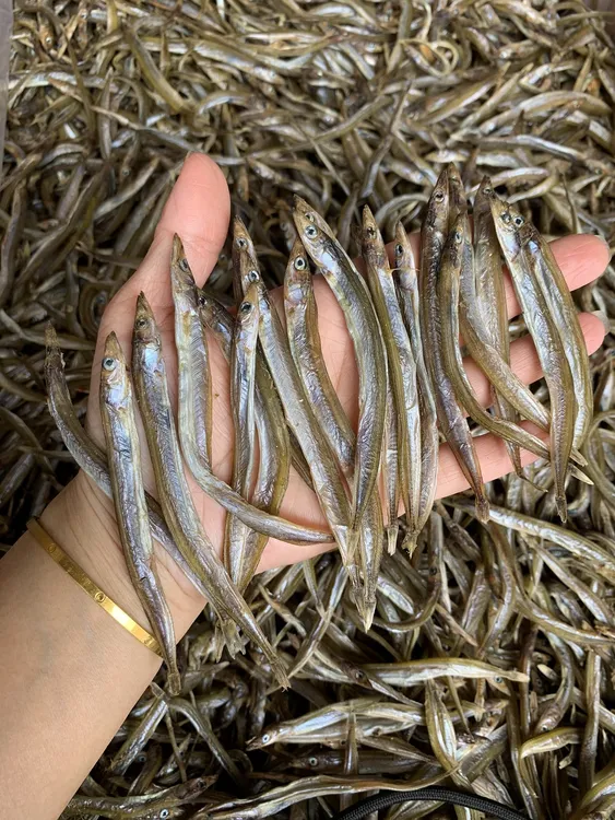 湛江海产干货 银针鱼干仔  250-500克 顺丰包邮