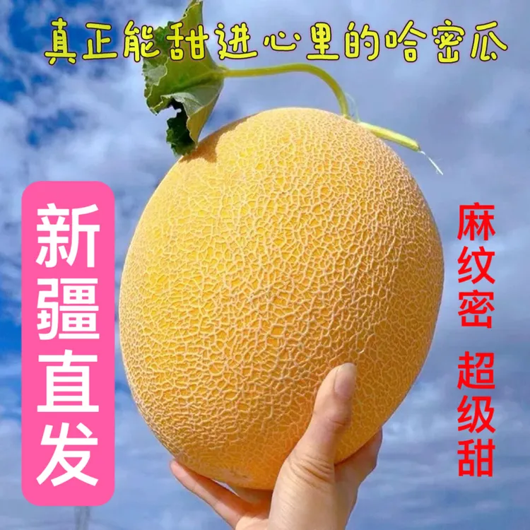 新疆哈密瓜产地直发吐鲁番金色年华黄金蜜瓜脆甜多汁新鲜应季水果