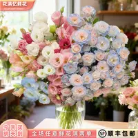 次日达 -【10碎冰蓝折射+混搭桔梗】玫瑰鲜花鲜切花家居花任意两单升级顺丰包邮三单送随机花瓶今天拍明天到