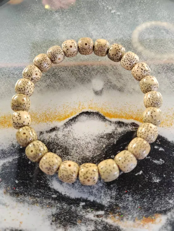 海南原生态星月菩提【10尺寸】