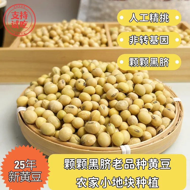 【25年黑脐黄豆】老品种天然黄豆健康营养精选豆浆农家种植非转豆腐