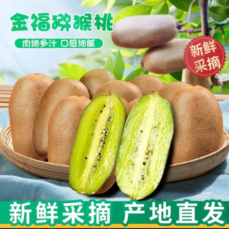 【现摘现发】陕西金福猕猴桃大果硬吃脆甜软吃糯甜当季新鲜孕妇水果