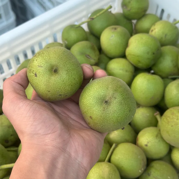 麻核桃把件四座楼青皮 拍一发三 尺寸可选