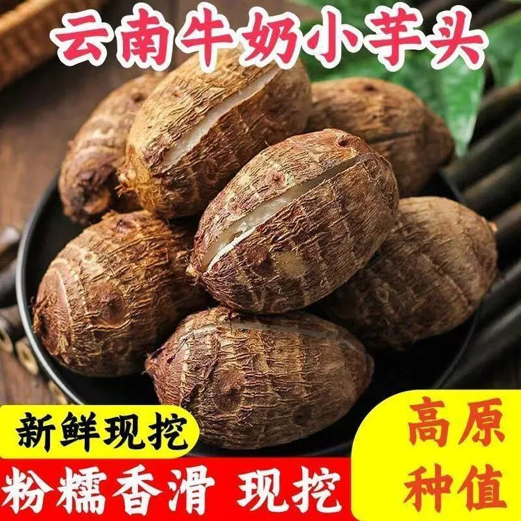 云南牛奶小芋头毛芋头新鲜现挖口感柔滑好吃5斤