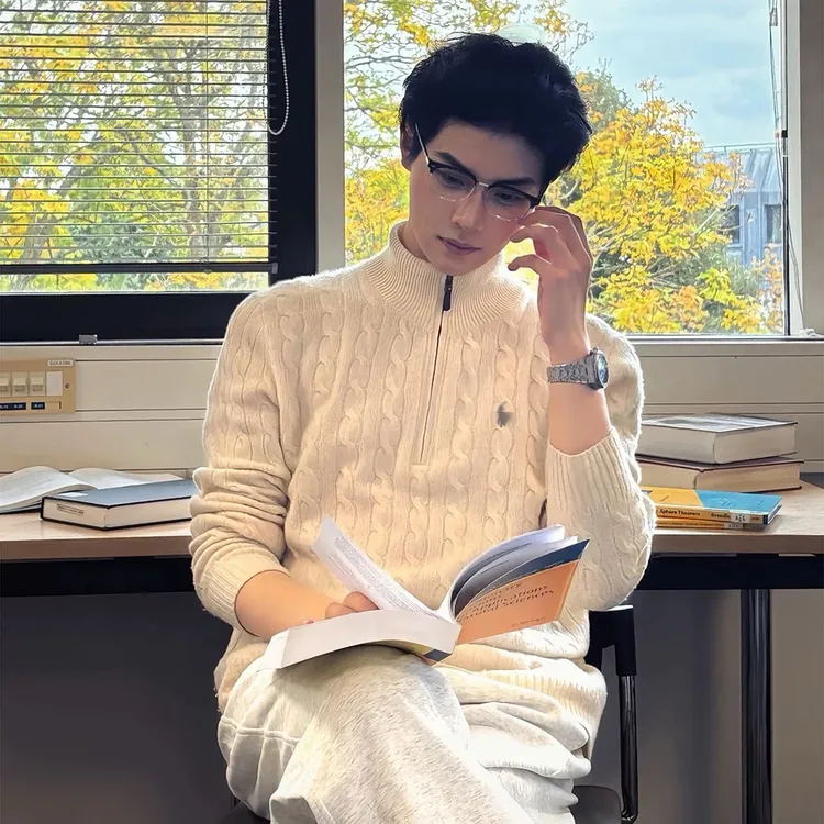 陈伟霆同款小马刺绣绞花针织毛衣男秋冬老钱风穿搭立领拉链打底衫