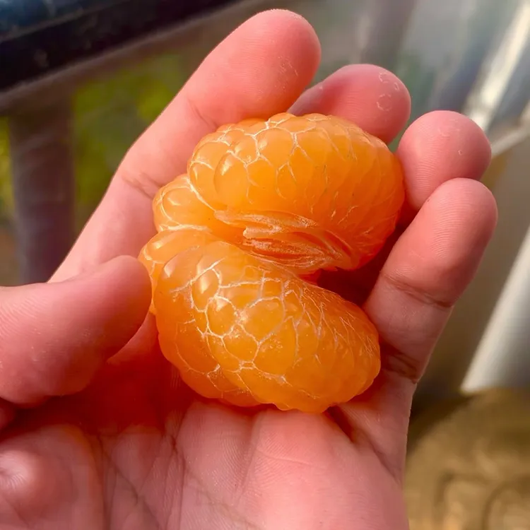 寿山石田黄石原石纯手工雕刻橘子摆件工艺品茶道把玩件橘子手把件