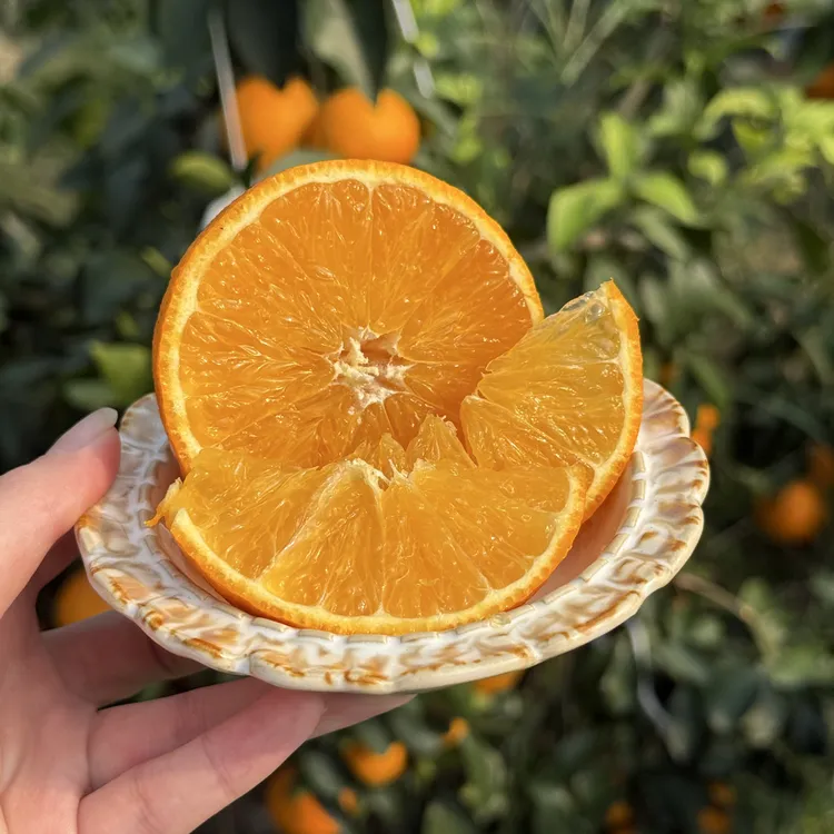 象山红美人爱媛28号果冻橙新鲜现摘皮薄多汁爆甜无籽无渣