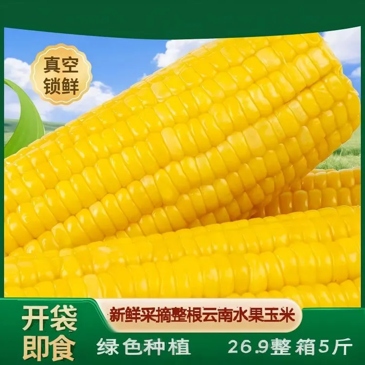 【整根即食水果玉米】云南新鲜开袋即食甜脆水果甜玉米营养轻食