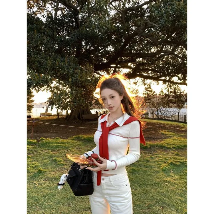 2025新款老钱风polo领披肩针织衫女秋冬季气质温柔内搭打底衫上衣