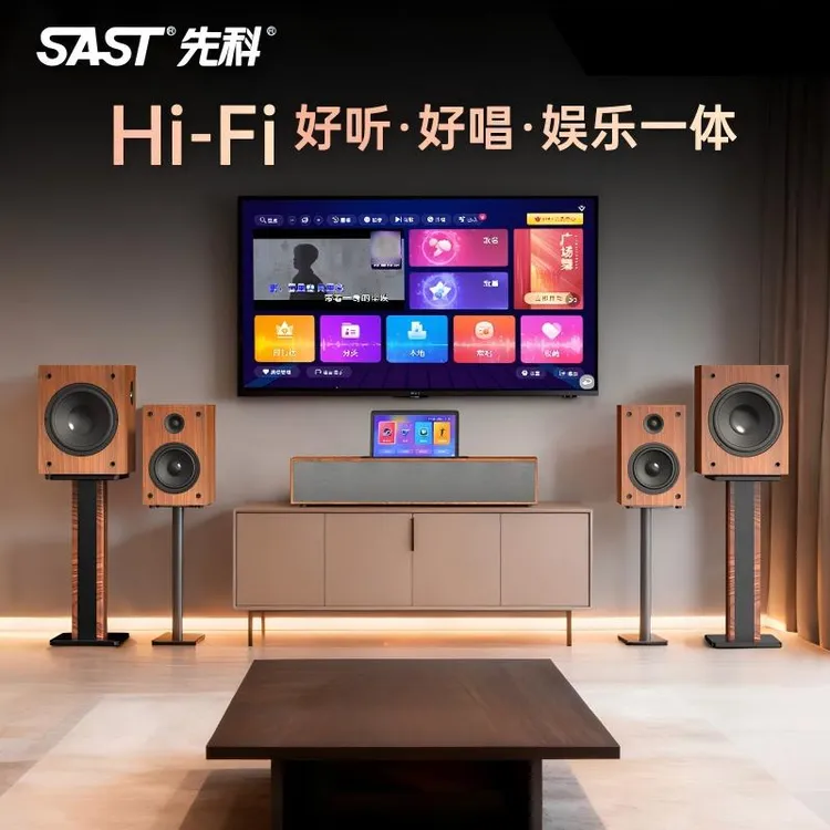 SAST/先科5.1智能环绕立体声家庭影院重低音HiFi音响5合歌一体机