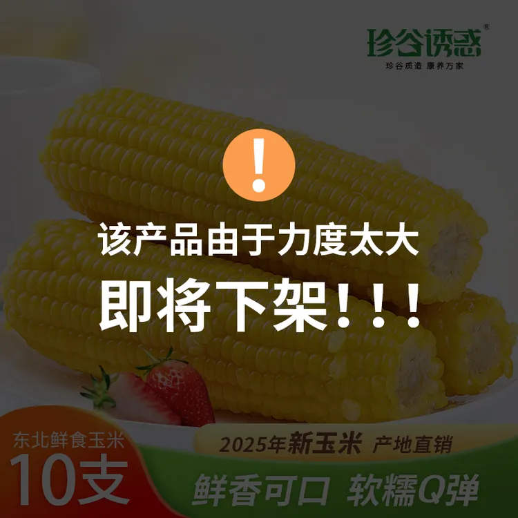 【珍谷诱惑】黄糯玉米240g*10根（可试吃2支）