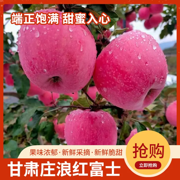 庄浪红富士苹果10斤批发精选大果脆甜无渣当季新鲜果园精选好物