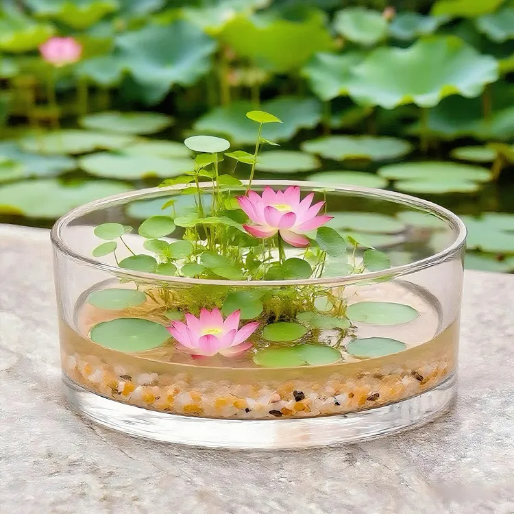 大口圆缸碗莲容器缸荷花盆铜钱草水培一叶莲花盆睡莲缸